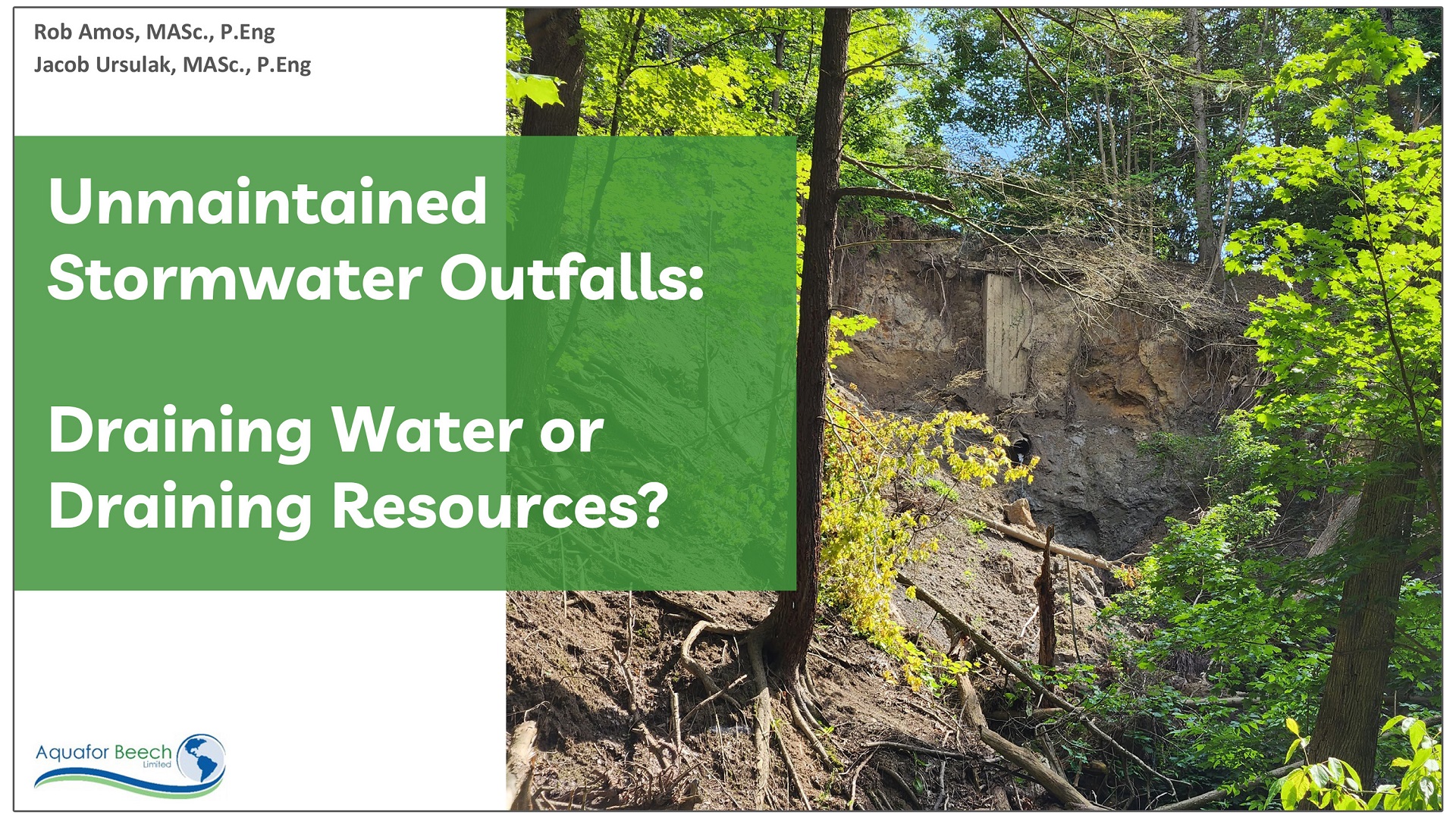Unmaintained Stormwater Outfalls - Draining Water or Draining Resources