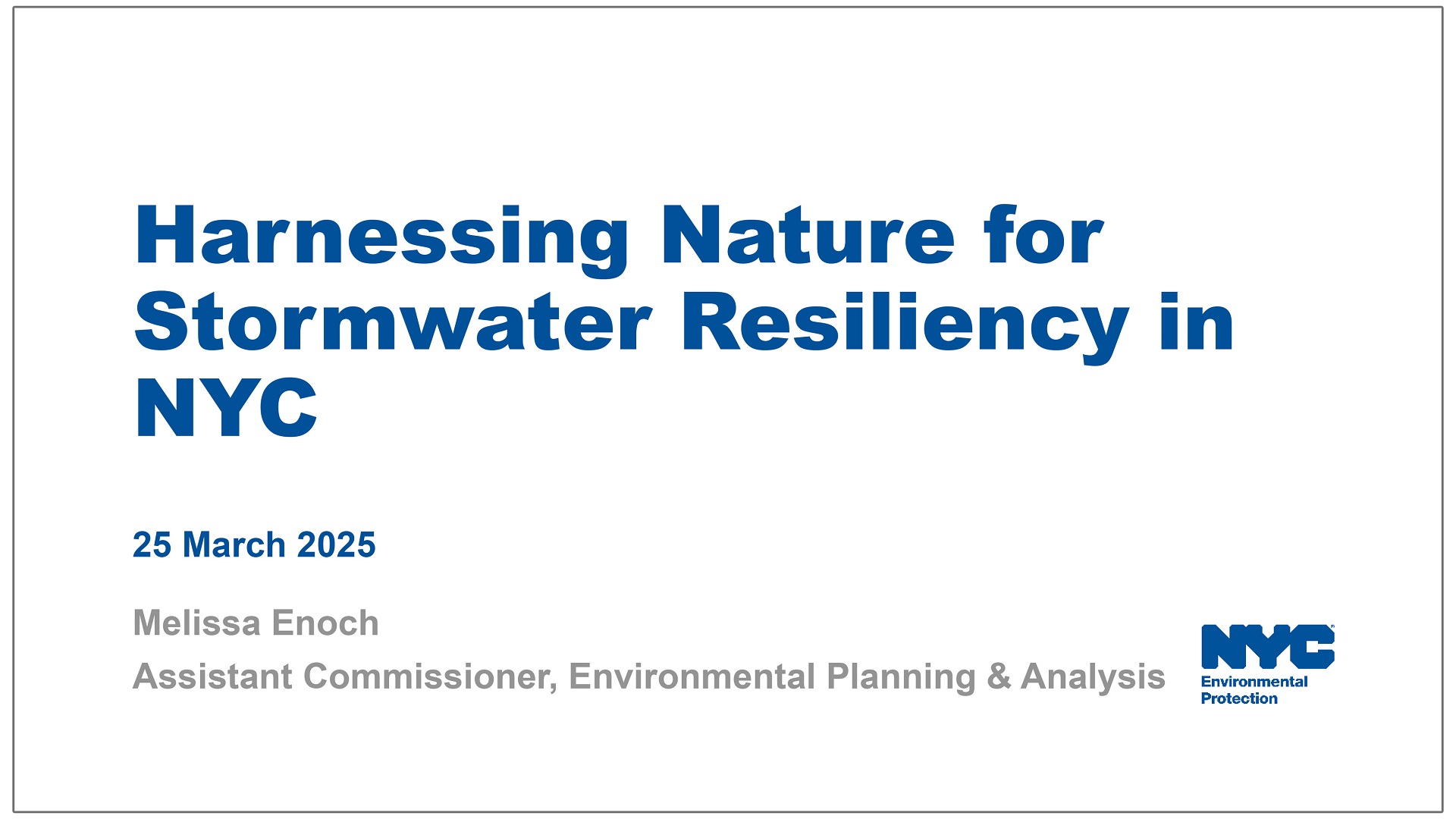 Harnessing Nature for Stormwater Resiliency in NYC