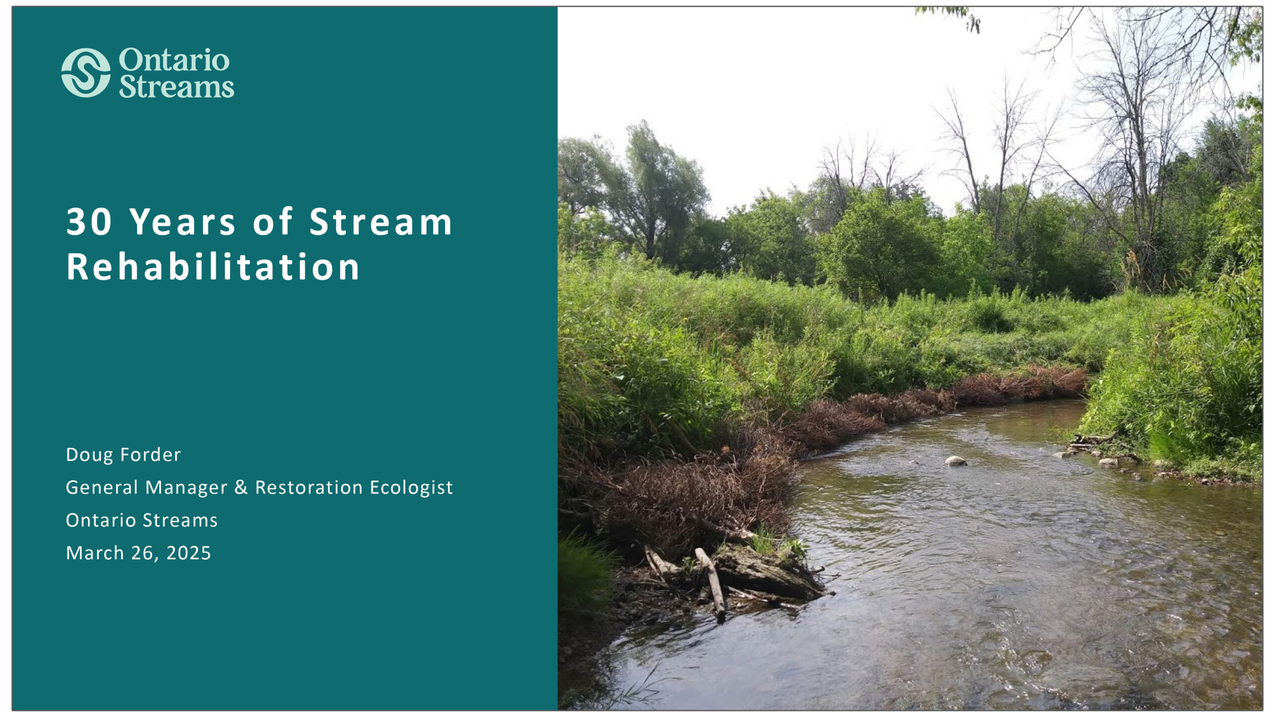 30 Years of Stream Rehabilitation