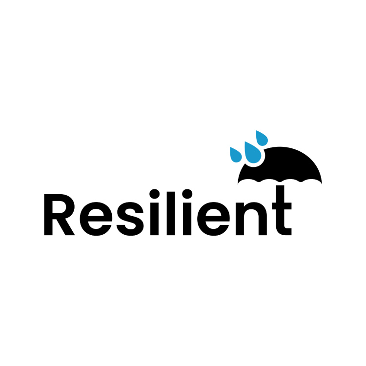 Resilient Consulting Corporation